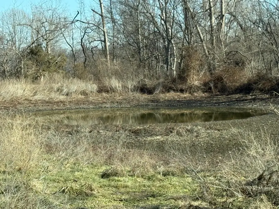 25073 Poppy Dr #Tract 1, Stark City, MO 64866 - Image #2