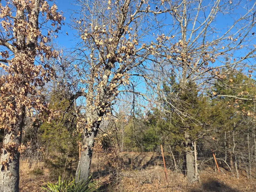 Tbd State Hwy 64, Tunas, MO 65764 - #2