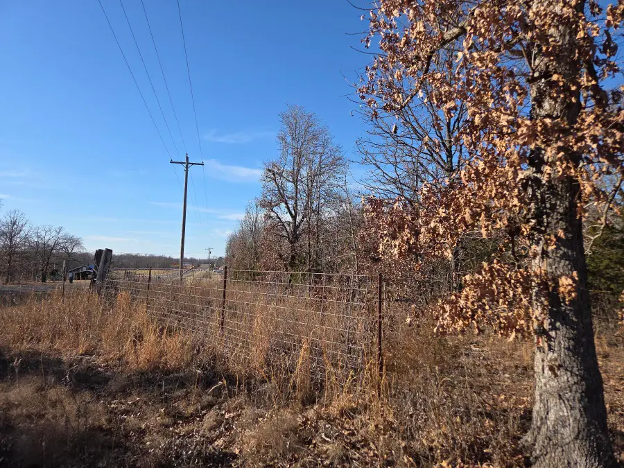 Tbd State Hwy 64, Tunas, MO 65764 - #3