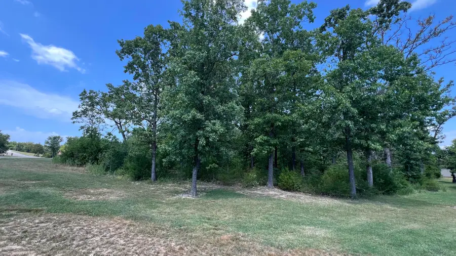 Lot 58 Forest Lake Drive, Branson West, MO 65737 - #3