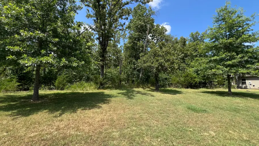 Lot 59 Fox Hollow Road, Reeds Spring, MO 65737 - #2