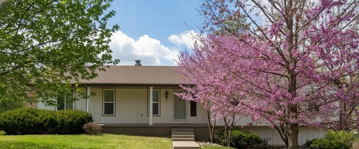 2541 S Brandon Avenue, Springfield, MO 65809 - #1