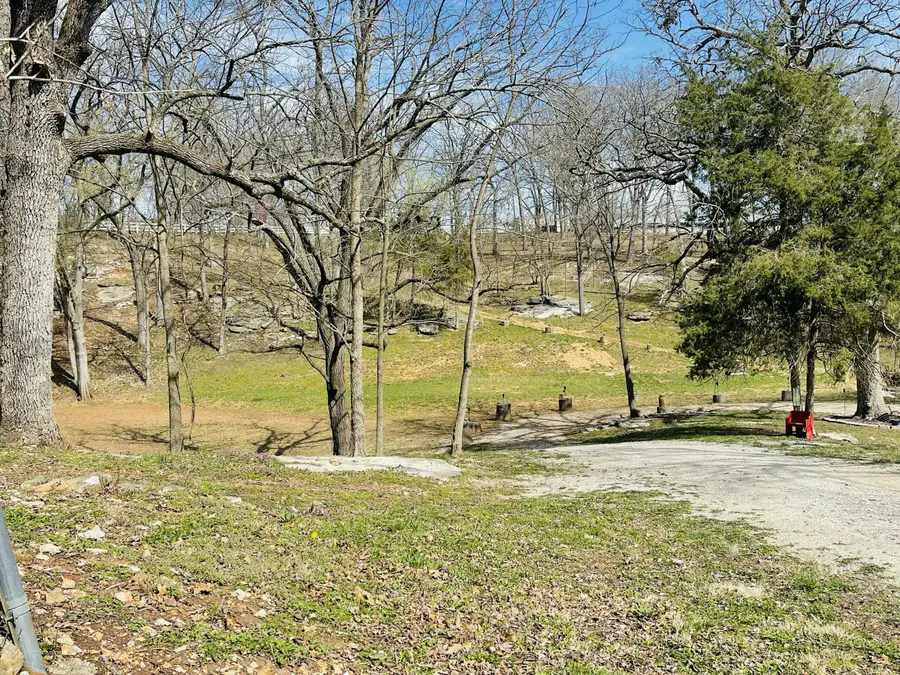 1433 E Warren Avenue, Ozark, MO 65721 - #3