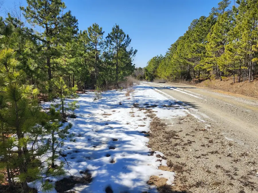 000 Sargent Road, Willow Springs, MO 65793 - #2