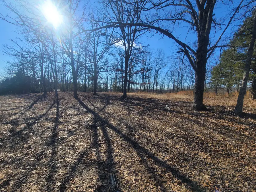 000 Hickory Flats Road, Ava, MO 65608 - #3