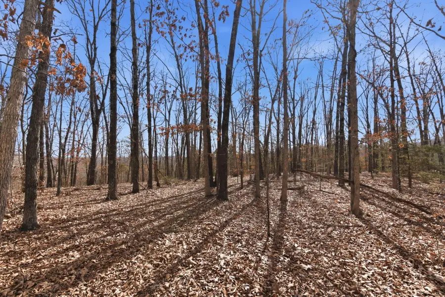 000 Jones Road, Ridgedale, MO 65739 - #3