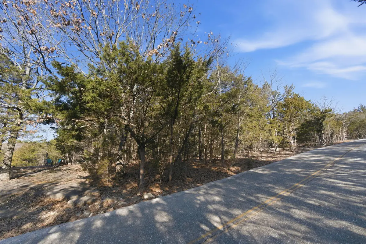 Lot 11 Crows Nest Trail, Branson, MO 65616 - #1