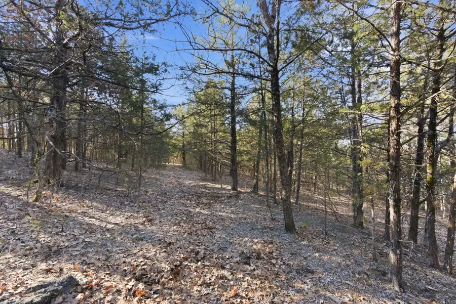Lot 11 Crows Nest Trail, Branson, MO 65616 - #3