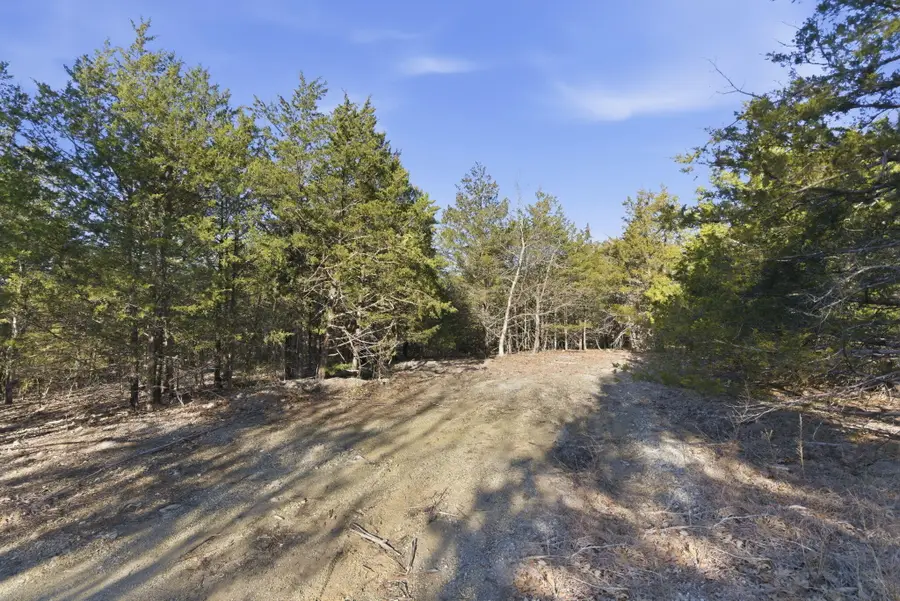 Lot 12 Crows Nest Trail, Branson, MO 65616 - #2