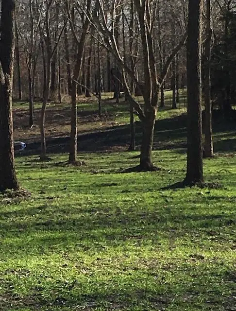 2484 W Landers Road, Nixa, MO 65714