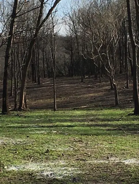 2484 W Landers Road, Nixa, MO 65714 - #2