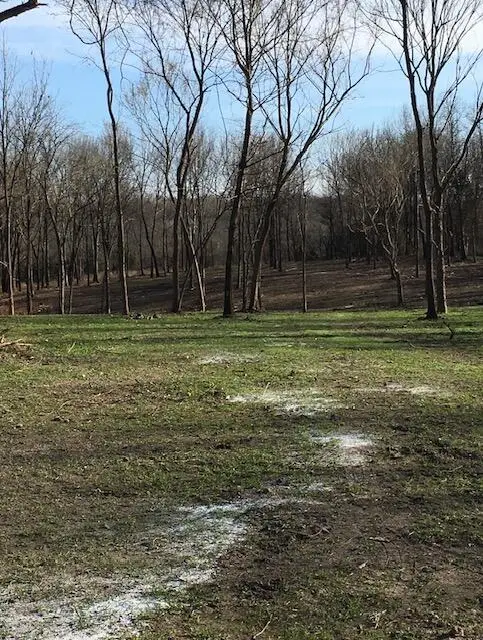 2484 W Landers Road, Nixa, MO 65714 - #3