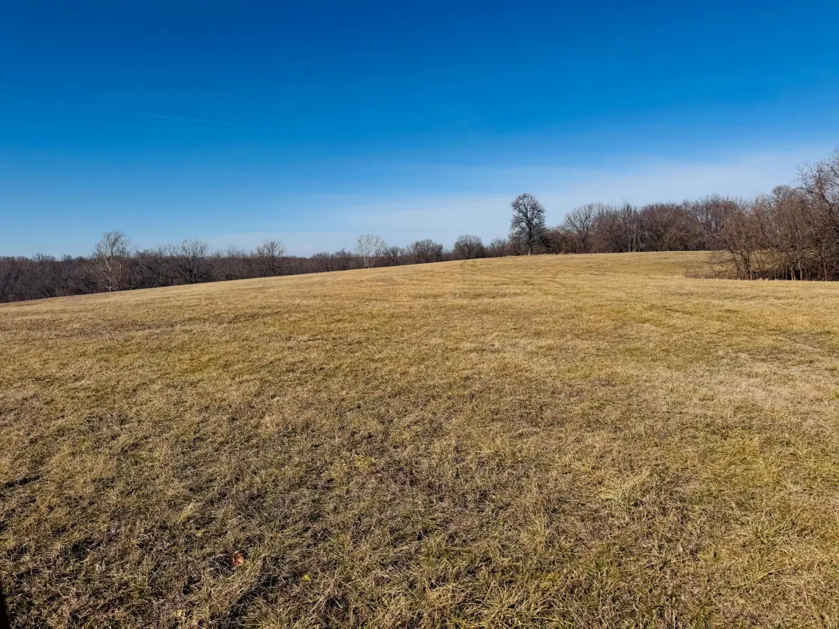 383 Atkins Road, Anderson, MO 64831 - #1