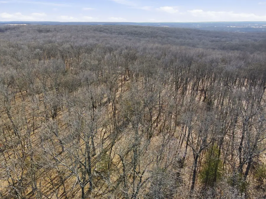 Lot 24 S 50th Road, Humansville, MO 65674 - #3