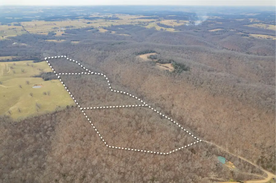 000 Farm Road 2155, Cassville, MO 65625 - #3