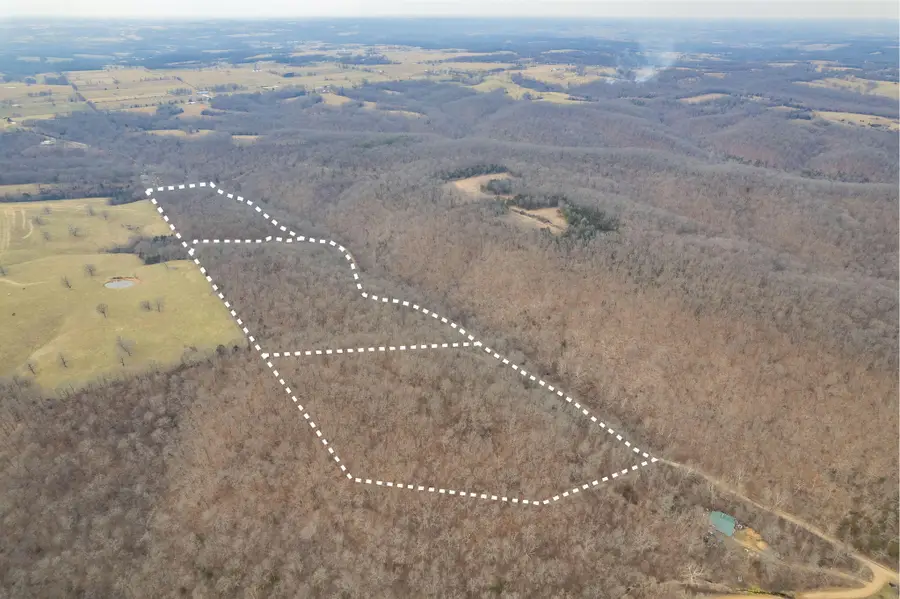 000 Farm Road 2155, Cassville, MO 65625 - #3