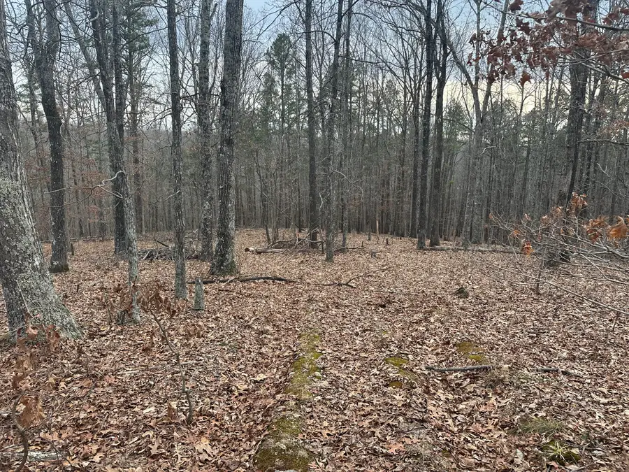 000 County Road 306, Van Buren, MO 63965 - #2