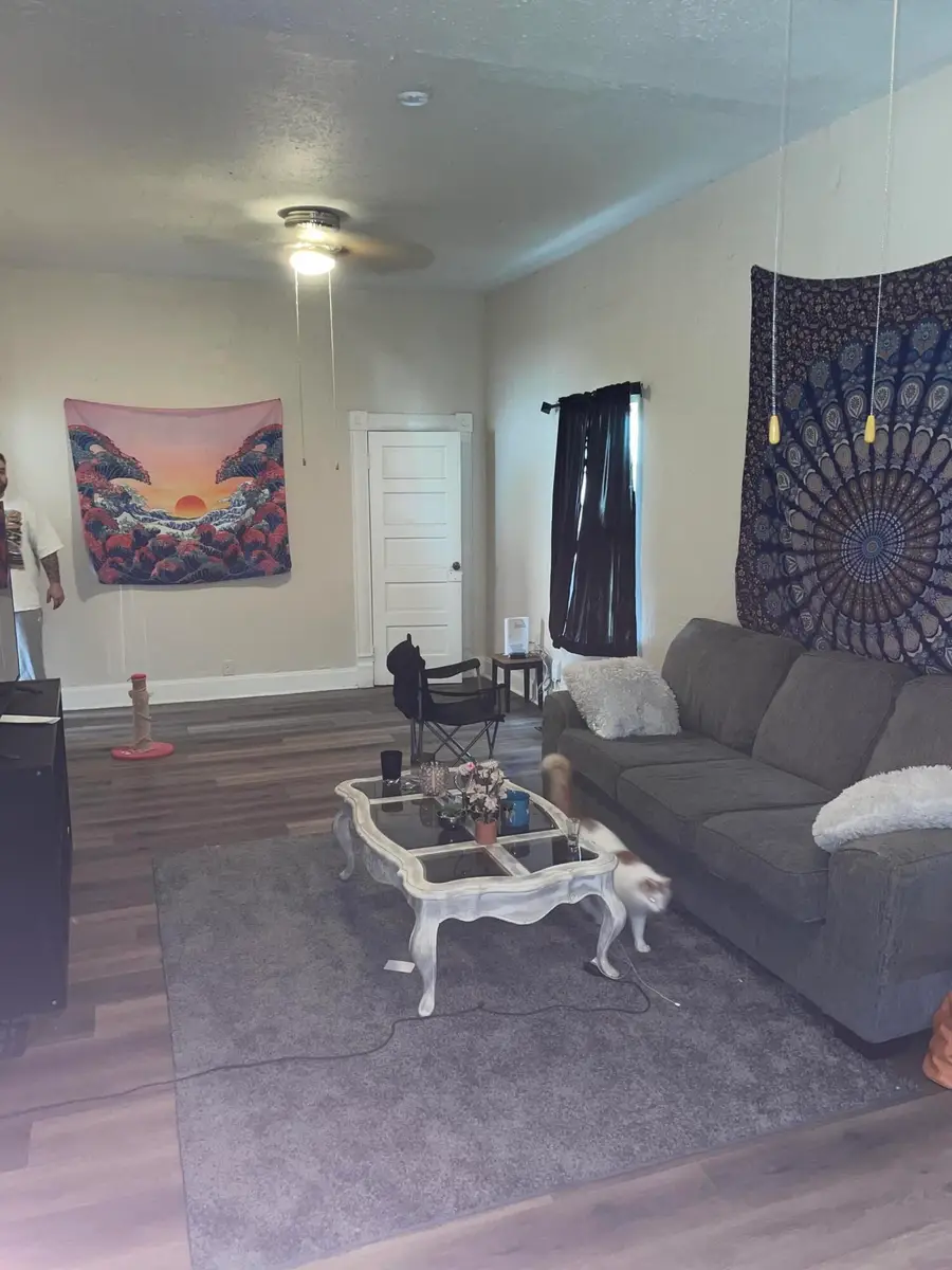 722 W Brower Street, Springfield, MO 65802 - #3