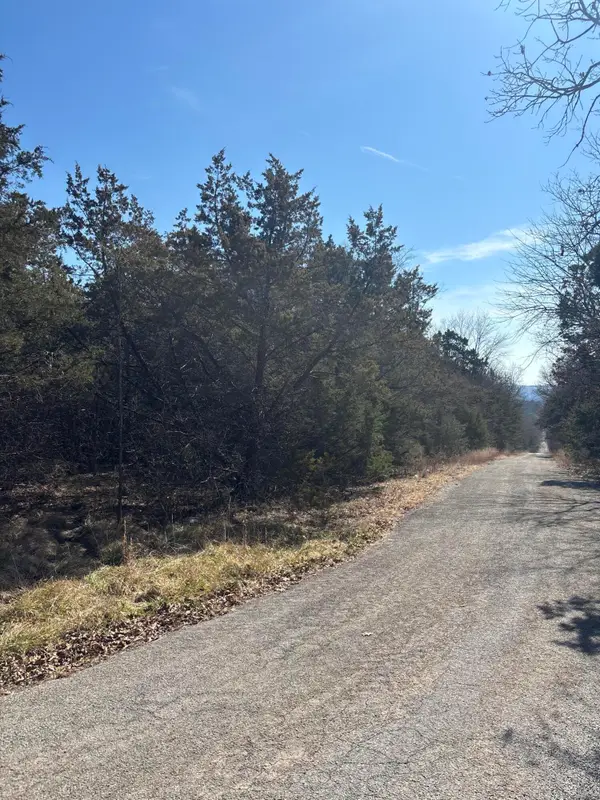 Tbd State Hwy Yy, Shell Knob, MO 65747