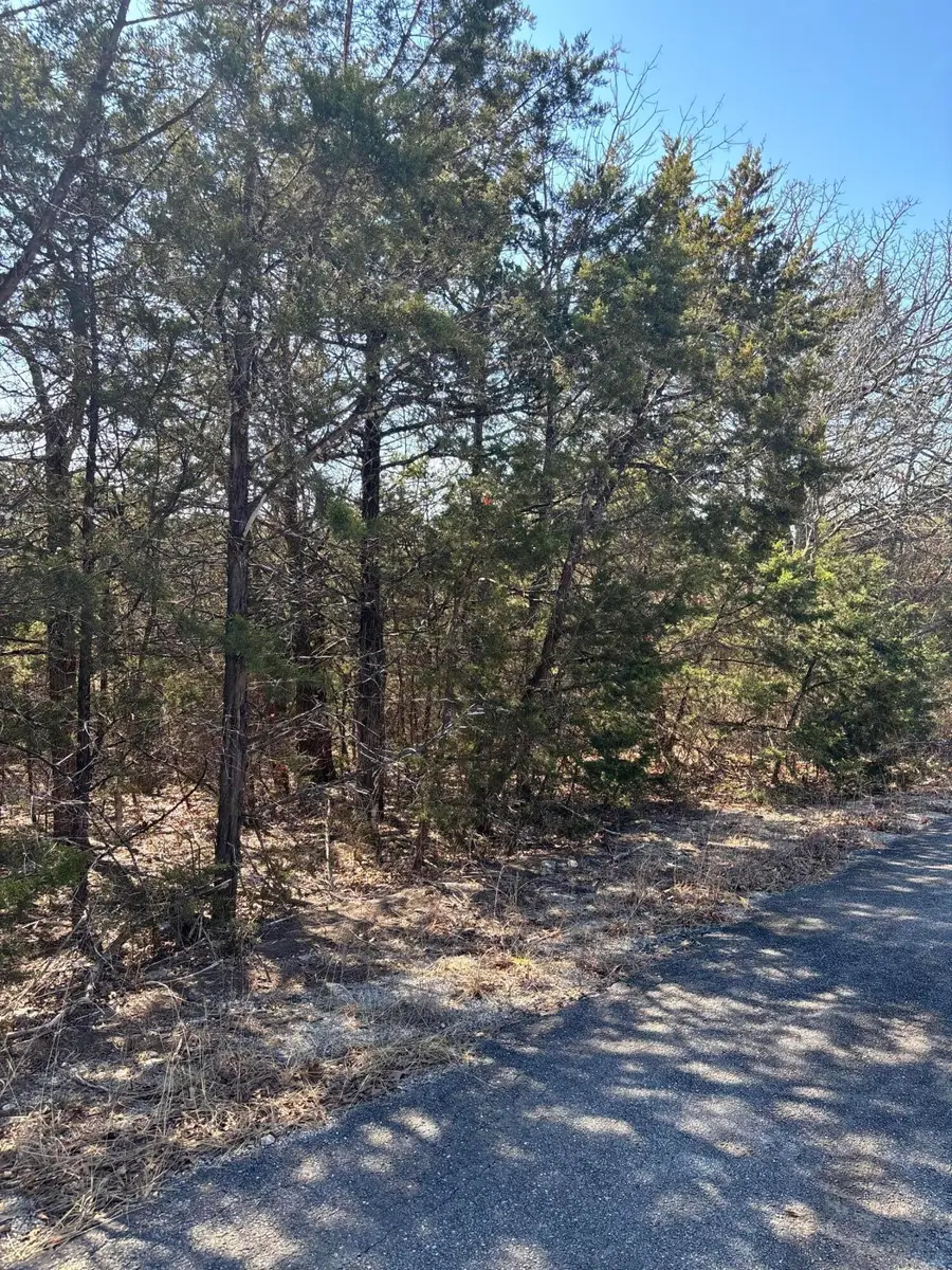 Tbd State Hwy Yy, Shell Knob, MO 65747 - #2