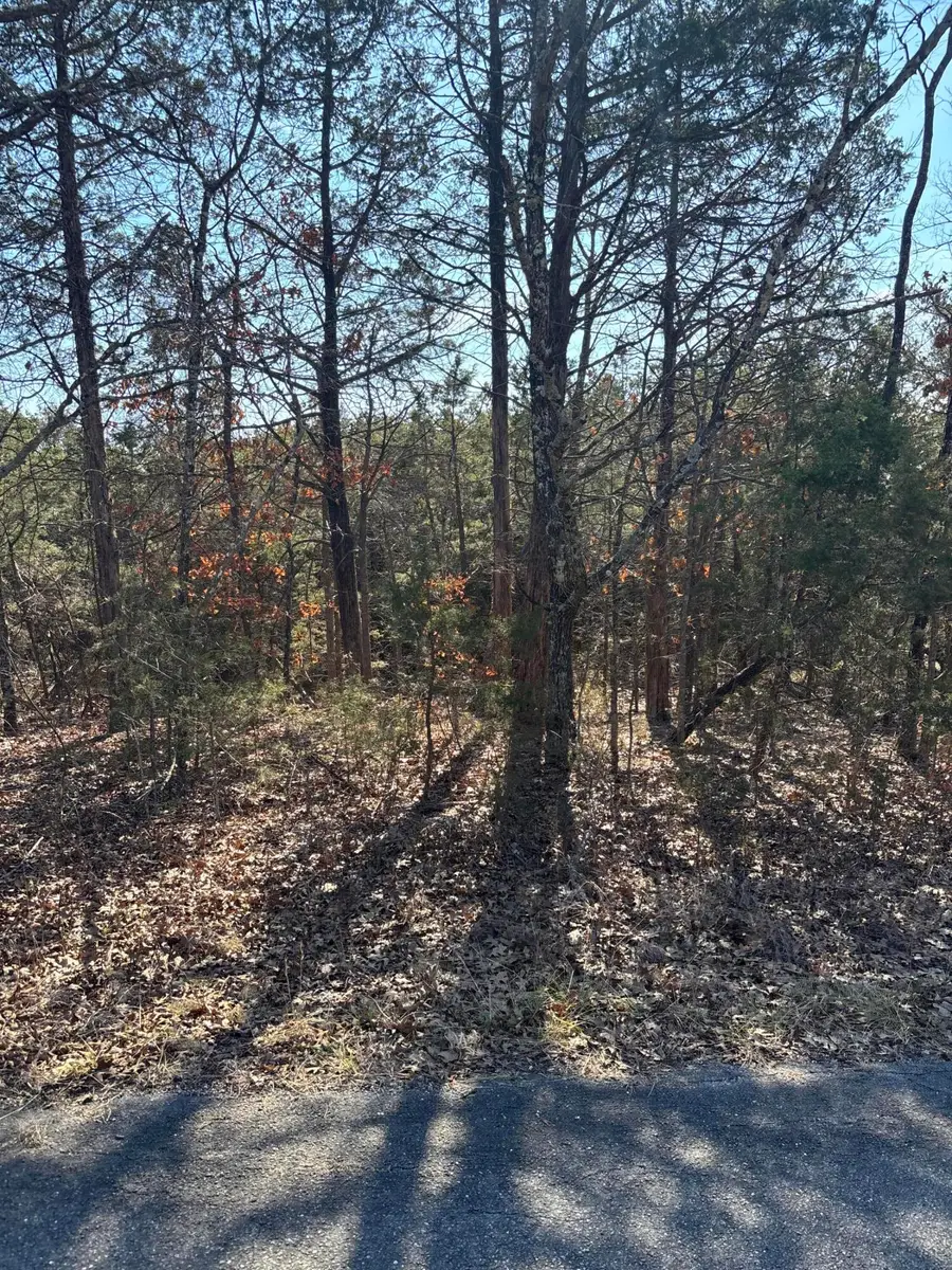 Tbd State Hwy Yy, Shell Knob, MO 65747 - #3