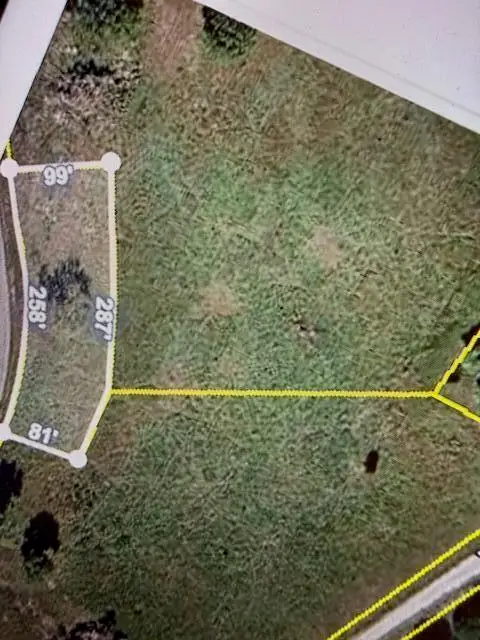 Lots31/32 Bear Den Cove, Galena, MO 65656 - #2