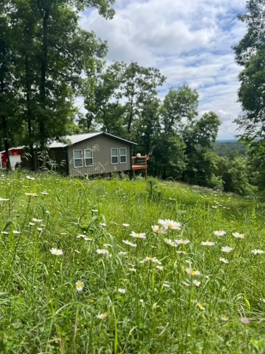 31797 State Highway 76, Norwood, MO 65717 - #3