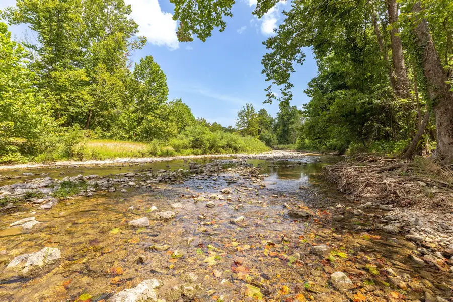 000 Us Highway 160, Walnut Shade, MO 65771 - #3