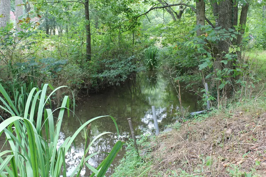 1721 Matney Hollow Road, Seymour, MO 65746 - #3