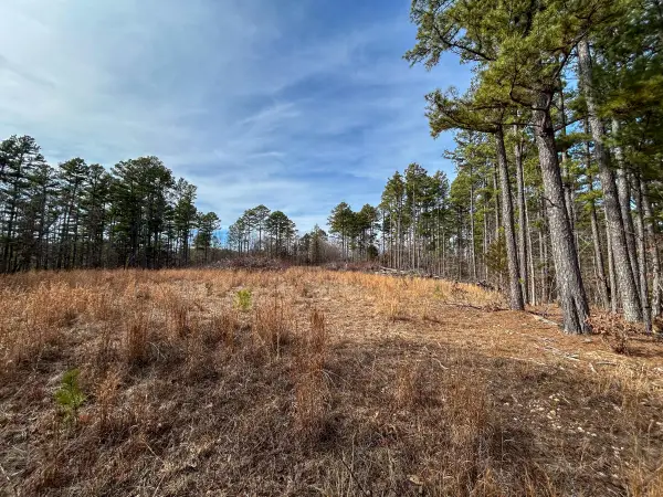 513 Timberline Road, Willow Springs, MO 65793