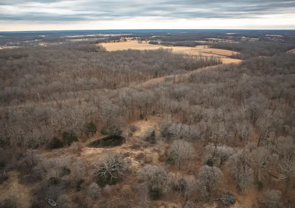 000 Hofrichter Drive, Mack's Creek, MO 65786