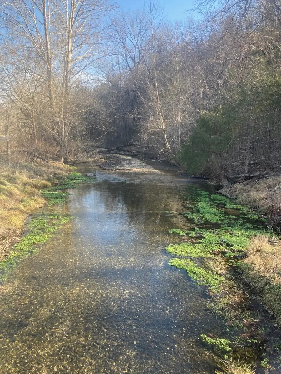 000 Reno Springs Road, Branson, MO 65616 - #2