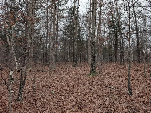 10648 Sydney Lane, Birch Tree, MO 65438