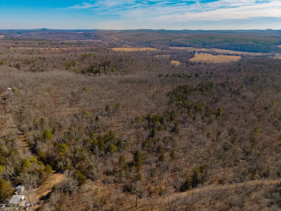 000 Private Road, Drury, MO 65638 - #3