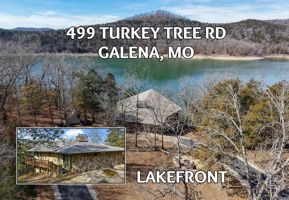 499 Turkey Tree Road, Galena, MO 65656 - #1