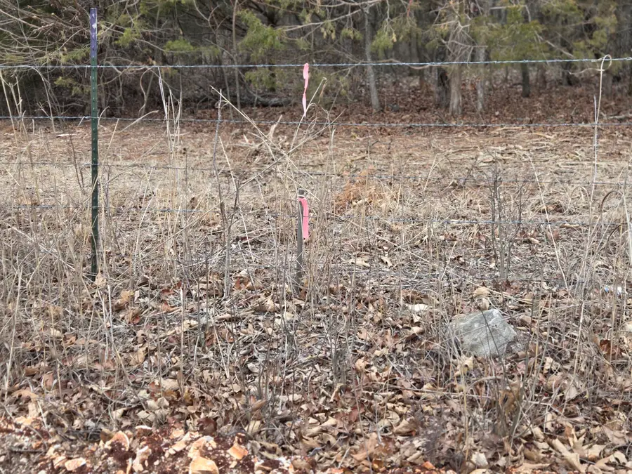 00 N County Road 96, Walnut Grove, MO 65770 - #2