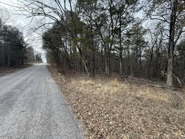 130, 131 Turkey Mountain Estates #2, Shell Knob, MO 65747