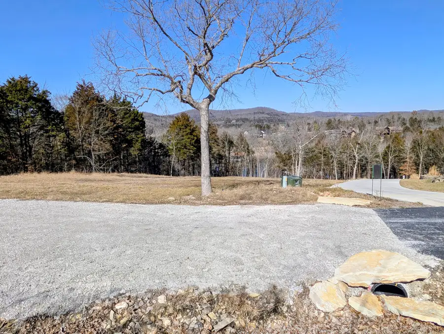 11 Tall Cedar Lane, Reeds Spring, MO 65737 - #3