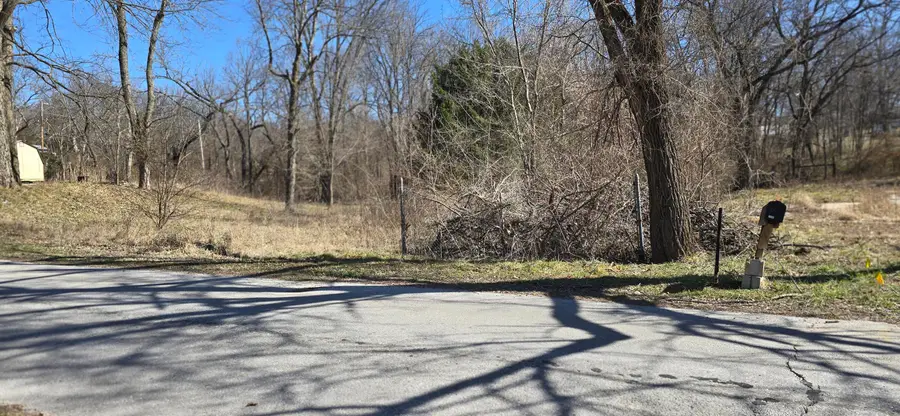 1440 N 16th Street, Ozark, MO 65721 - #3