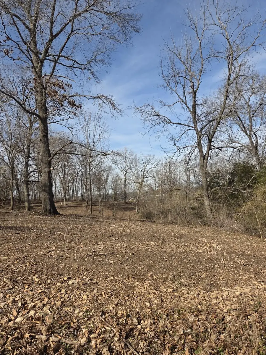 Lot 18a Camp Yocum Road, Galena, MO 65656 - #2