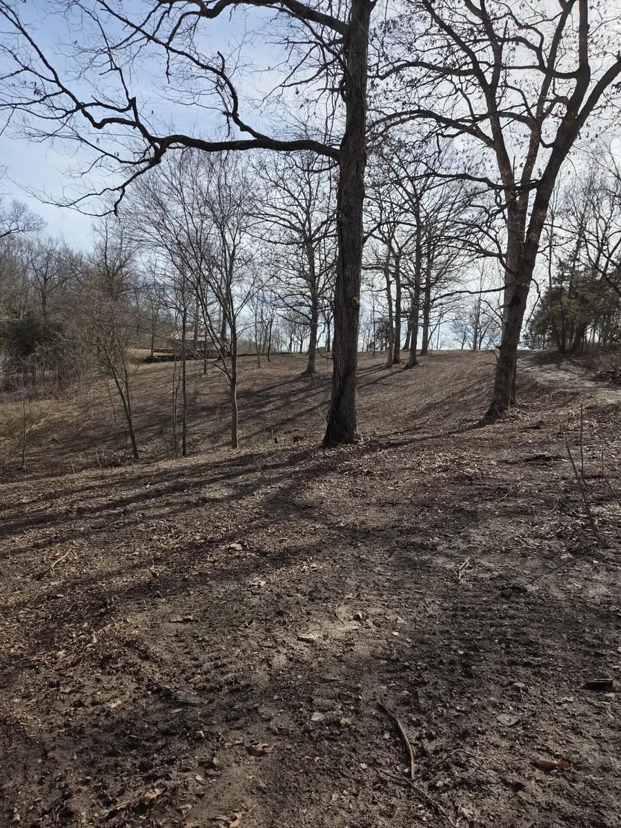Lot 18a Camp Yocum Road, Galena, MO 65656 - #3