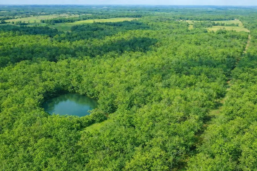 000 P Highway, Koshkonong, MO 65692 - #2