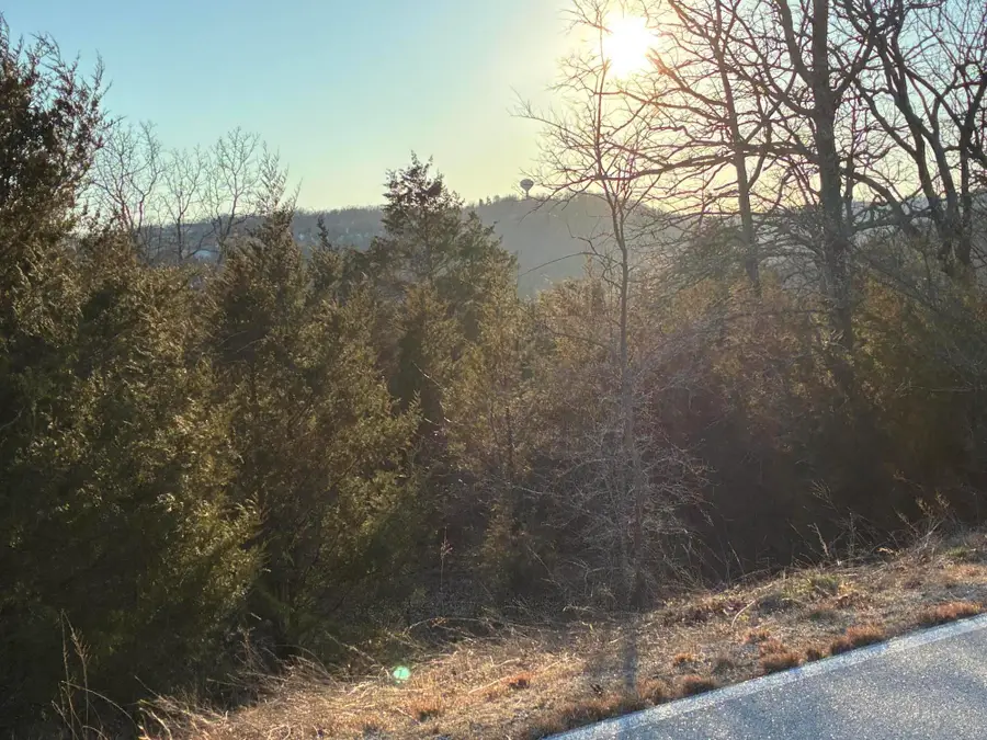 Lot 24 Limestone Drive, Branson West, MO 65737 - #2