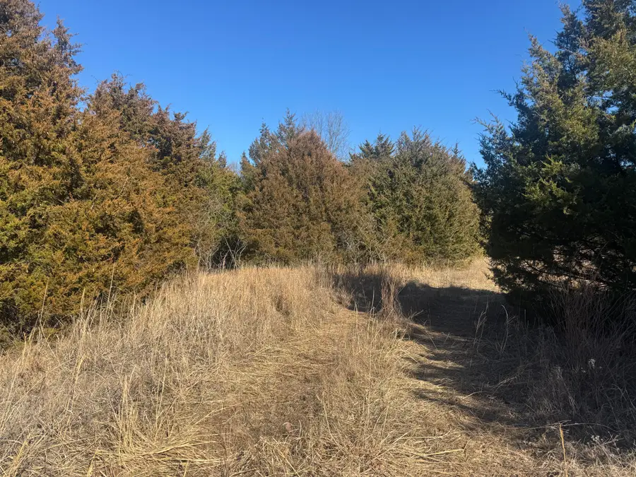 000 Dade 131, Arcola, MO 65603 - #2