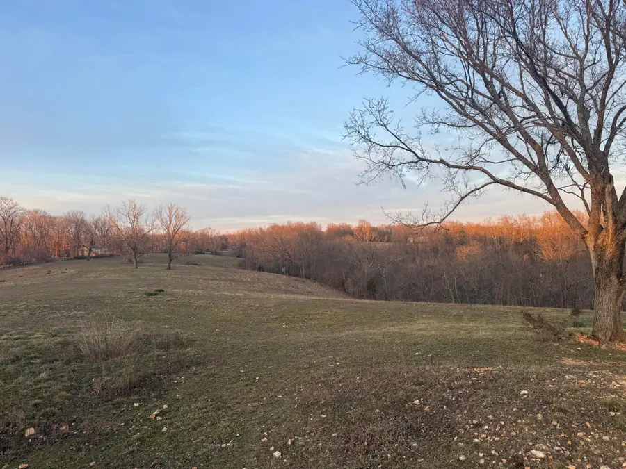 50 Acres Logan Ridge Road, Ozark, MO 65721 - #3