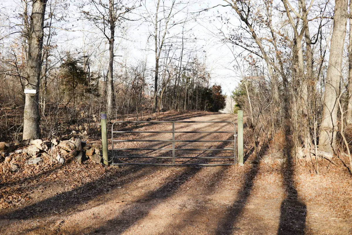 13370 Groves Drive, Plato, MO 65552 - #1