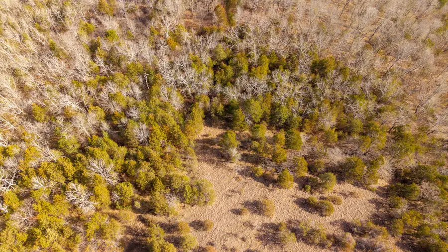 000 Rimstone Lane, Gainesville, MO 65655 - #3