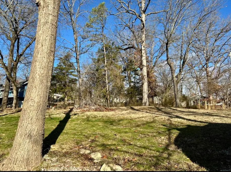 155 Benton Avenue, Rockaway Beach, MO 65740 - #2