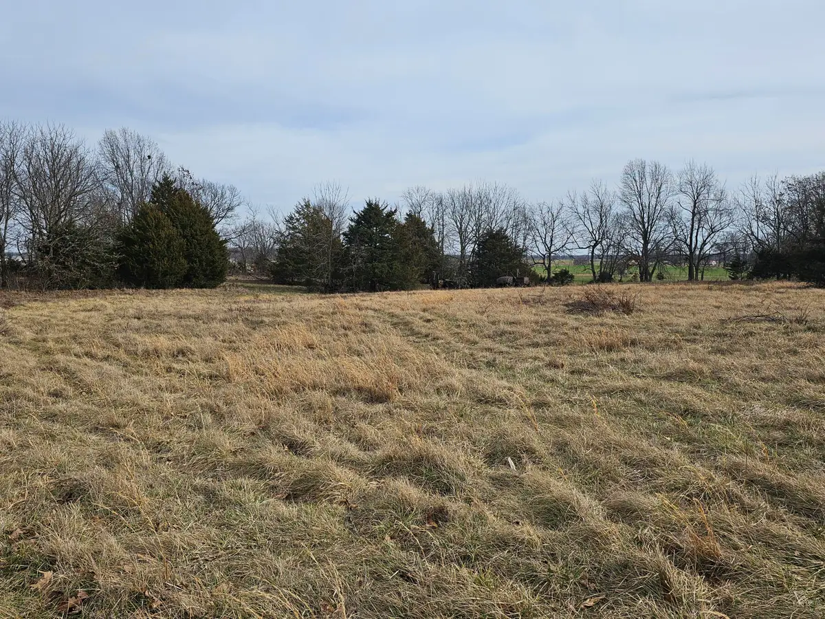 17755 State Highway Z, Verona, MO 65769 - #1