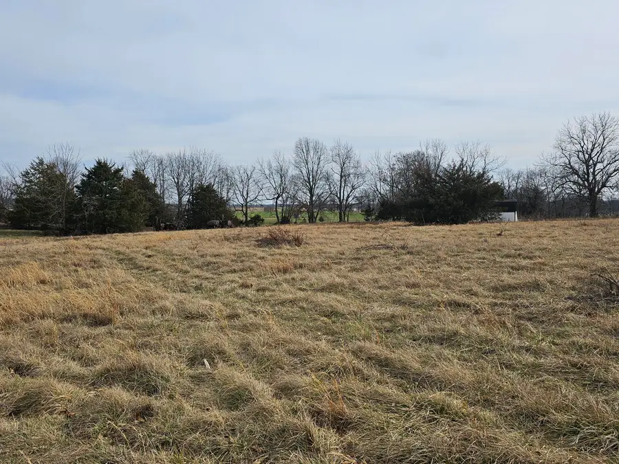 17755 State Highway Z, Verona, MO 65769 - #2